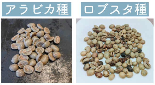 アラビカ種とロブスタ種の違い