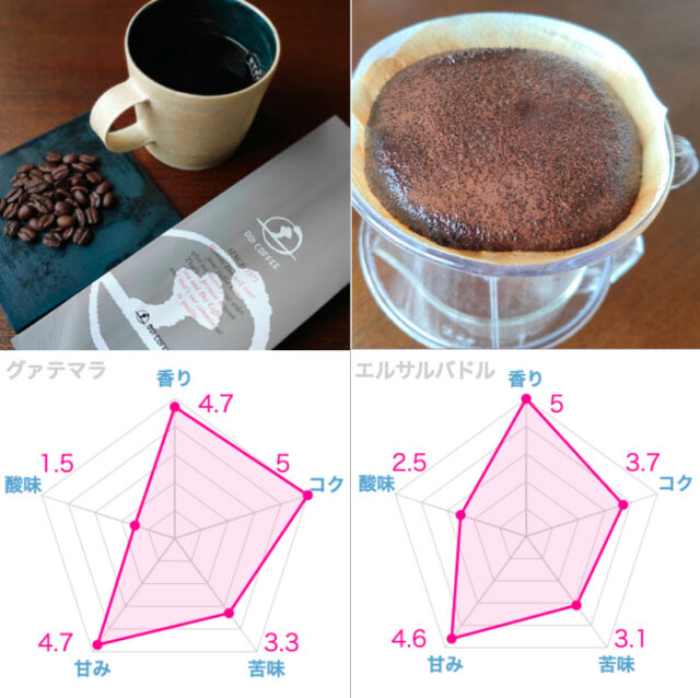 土居珈琲 小さな焙煎おためしセット