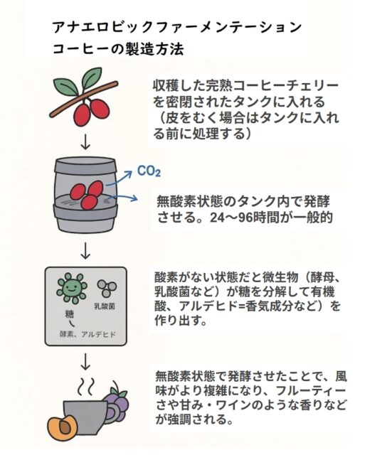 アナエロビックファーメンテーションの発酵プロセス